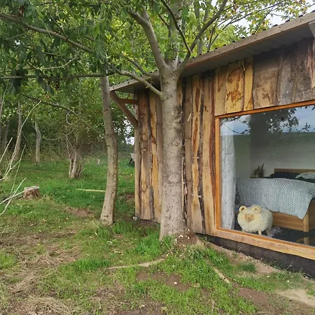 Campsite Und Wellness In *